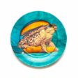 Seletti_TOILETPAPER-ceramic-plates-16923frog-2