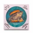 Seletti_TOILETPAPER-ceramic-plates-16923frog-3